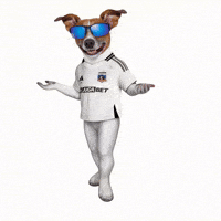 Colo Colo GIF