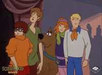 Scooby Doo What GIF by Boomerang Official