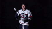 lmuicehockey game party hockey win GIF