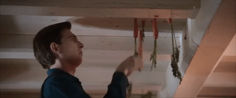 peter rabbit GIF