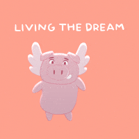 Happy Flying Pig GIF by PositivelyPigasus