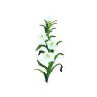 Lily Flower Flowers Sticker by Gegants de Gràcia