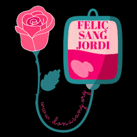 Sant Jordi Book GIF by DonaSang