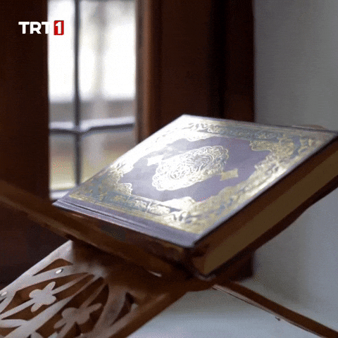Book Reading GIF by TRT