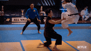 Cobra Kai Karate GIF by NETFLIX