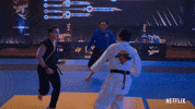 Cobra Kai Karate GIF by NETFLIX