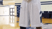 vwu_marlins marlins vwu wethebeach virginiawesleyan GIF