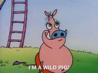 rockos modern life nicksplat GIF