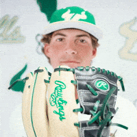 South Florida Baseball GIF by USF Athletics