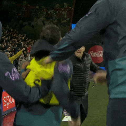 Happy Premier League GIF by AFC Bournemouth