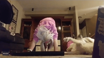 Service Dog Sweetly Interrupts Yoga Routine