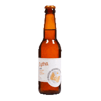 Brasserienice drink beer nice biere Sticker