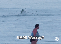 Snoop Dogg Wassup GIF by Shark Week