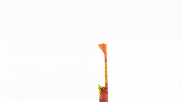 Art Design GIF by jorgemariozuleta