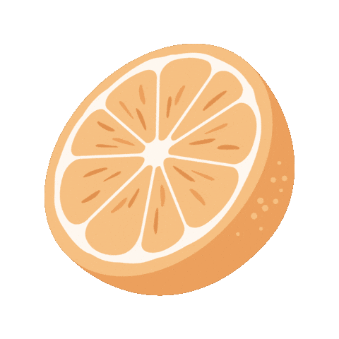 Orange Citrus Sticker by Kyte Baby