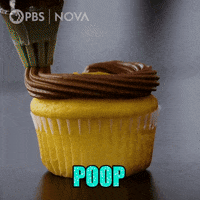 Health Poop GIF by PBS Digital Studios