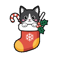 akoga1 cat christmas cats gato Sticker