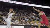 GIF by UCF Knights
