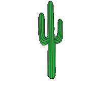 Cactus Desert Sticker by Foil Me