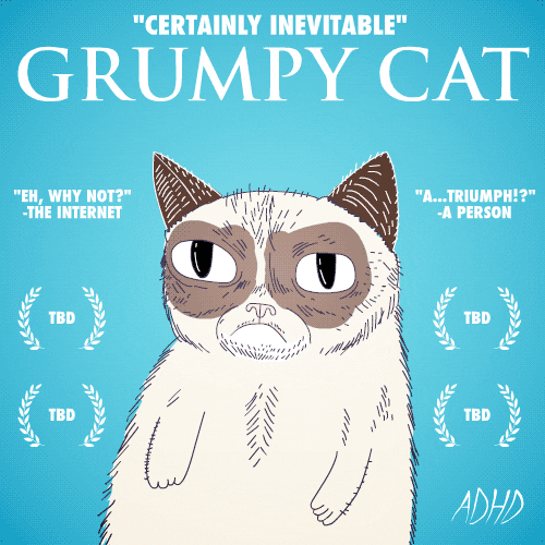 Animation Domination High-Def Lol GIF by gifnews