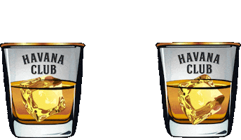 Cheers Salud Sticker by The Real Havana Club