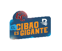 Pelota Invernal Sticker by Banreservas