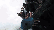 GIF by Rogue Ales & Spirits