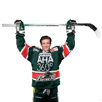 Hockey Del Sticker by Augsburger Panther Eishockey GmbH