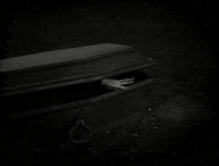vampire gif GIF