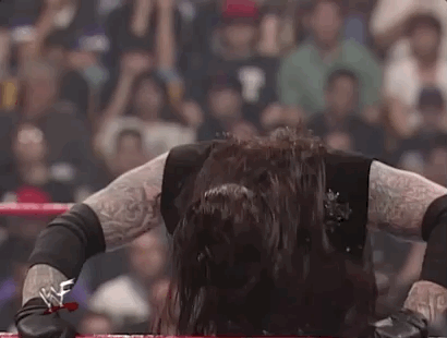 wrestlemania xiv wrestling GIF by WWE