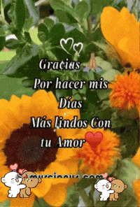 Gracias Por Hacer GIF by Murcianys LLC