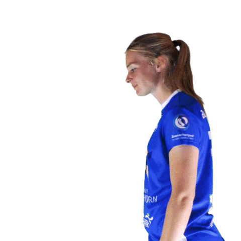 Handball Sticker by Westfriesland/SEW