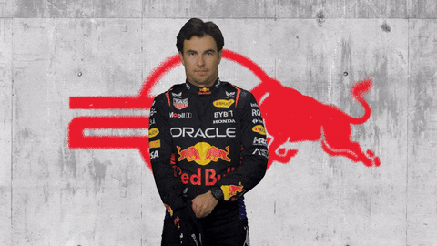 Red Bull Sport GIF by Oracle Red Bull Racing