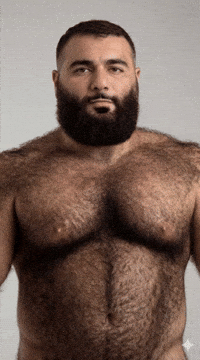 Bear Muscle GIF by Database數據