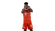 Football Sport Sticker by FC Bayern Munich
