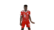 Football Win Sticker by FC Bayern Munich