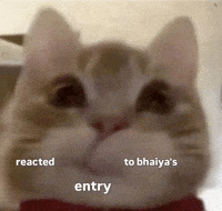 Cats Love GIF