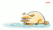 cat GIF by ARTEfr