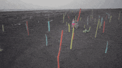 carlos vives la bicicleta GIF by Shakira
