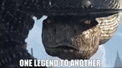 Respect Rango GIF