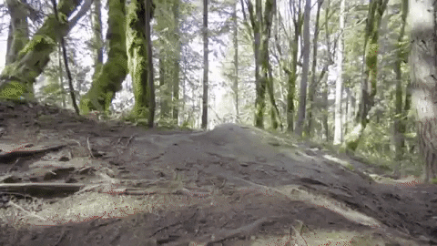 jeffreyjosephkendallweed giphygifmaker GIF