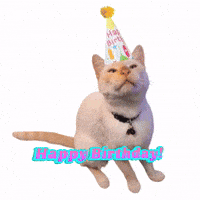 Happy Birthday GIF