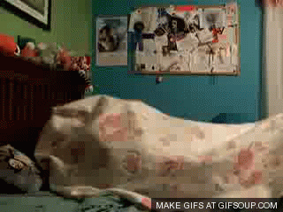busy GIF