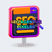 Koblenz Seoagentur GIF by pixel56