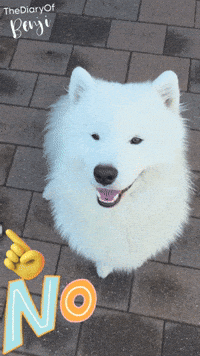 Non GIF