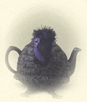 Big Bird GIF by TeaCosyFolk