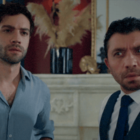 Shocked Brother GIF by Burak Berkay