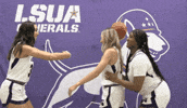 Naia Generals GIF by LSUA Athletics