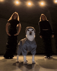 Dawg GIF