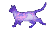 cat skeleton STICKER